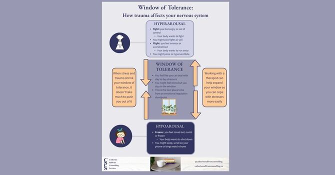 The Window of Tolerance: How Trauma Affects your Nervous System 